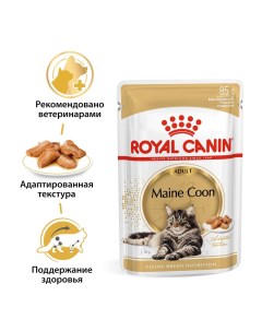 Корм для кошек для мейн куна в соус конс Royal canin