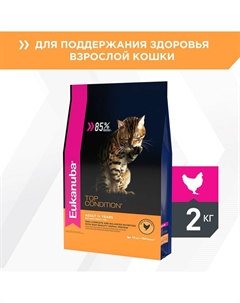 Корм для кошек Top Condition, курица, печень сух. 2кг Eukanuba