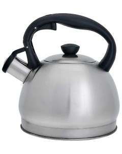 Чайник для плиты BE 0578 Webber