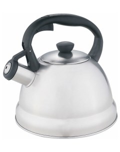 Чайник для плиты BE 0577 Webber