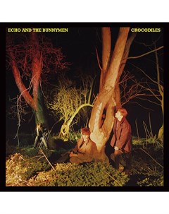 Echo The Bunnymen Crocodiles Korova