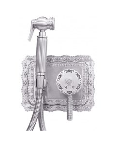 Гигиенический душ со смесителем Antic A116BD SL Серебро Zorg