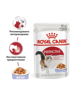 Корм для кошек Instinctive кусочки в желе конс 85г Royal canin