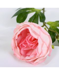 Растение искусственное Пышный пион 7х47см розовый 4738223 Нет марки