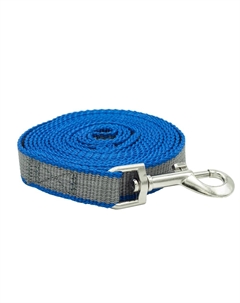 Поводок для собак капрон усиленный ширина 20мм, длина 5м, синий Каскад