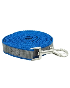 Поводок для собак капрон усиленный ширина 25мм, длина 5м, синий Каскад