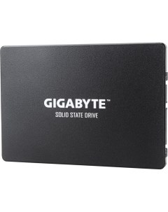 SSD накопитель GP GSTFS31256GTND Gigabyte