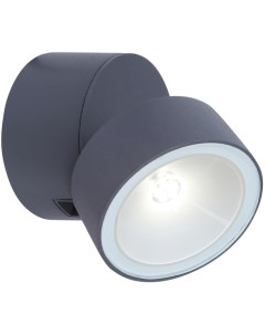 Настенный светильник уличный TUBE LED W6261S Oasis light