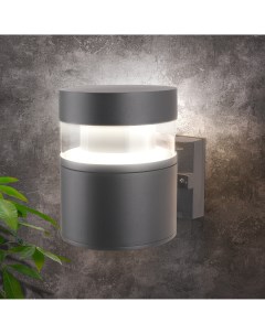 Настенный светильник уличный светодиодный 1530 TECHNO LED серый Elektrostandard