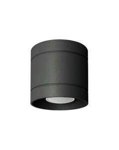 Накладной светильник 752/10 CZA Diego Lampex