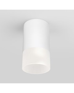 Потолочный светильник уличный светодиодный 35139 H Light LED белый Elektrostandard