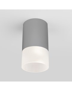 Потолочный светильник уличный светодиодный 35139 H Light LED серый Elektrostandard