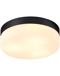 Потолочный светильник IP44 Arte lamp