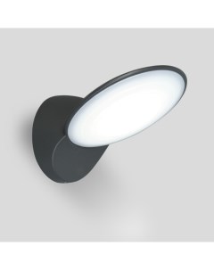 Настенный светильник уличный светодиодный IP44 W1896 3K Oasis light