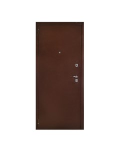 Дверь входная стальная Лайт 21 Антик медь Миланский орех 870х2050х60мм прав Argus