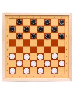 Шахматы демонстрационные магнитные Мини Десятое королевство