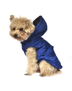 Куртка для собак Merro S длина спины 30см синяя с капюшоном Foxie