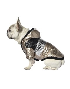 Куртка для собак Gold S длина спины 30см золотистая с капюшоном Foxie