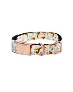 Ошейник для собак Cheetah M 1,9x35-50см Foxie