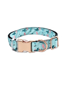 Ошейник для собак Tropic M 1,9x35-50см Foxie