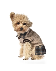 Свитер для собак Dress S (длина спины 30см) бежевый Foxie