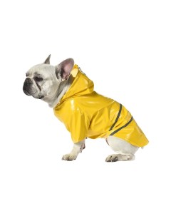 Дождевик для собак Rain S длина спины 30см желтый с полосами Foxie
