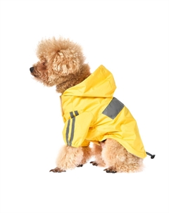 Дождевик для собак Rain S (длина спины 30см) желтый Foxie