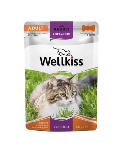 Adult Влажный корм пауч для взрослых кошек с кроликом в соусе 85 гр Wellkiss