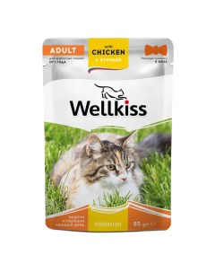 Adult Влажный корм пауч для взрослых кошек с курицей в желе 85 гр Wellkiss