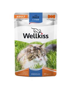 Adult Влажный корм пауч для взрослых кошек с уткой в соусе 85 гр Wellkiss