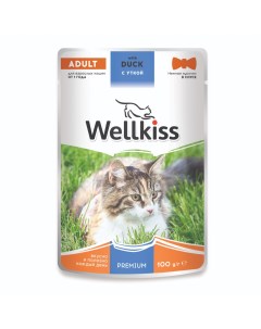 Adult Влажный корм пауч для взрослых кошек с уткой в соусе 100 гр Wellkiss