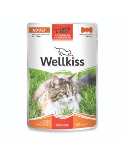 Adult Влажный корм для взрослых кошек с ягненком и говядиной в соусе 100 гр Wellkiss