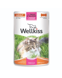 Adult Влажный корм для взрослых кошек с форелью и лососем в соусе 100 гр Wellkiss