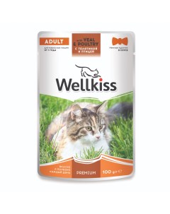 Adult Влажный корм пауч для взрослых кошек с телятиной и птицей в соусе 100 гр Wellkiss