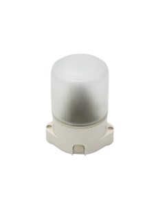 Настенно потолочный светильник НББ IP65 01 60 001 Era