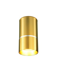 Потолочный светильник DLN106 GU10 золото 4690389148613 Elektrostandard