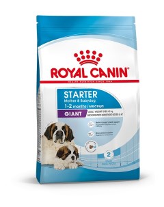 Giant Starter для щенков до 2 месяцев беременных и кормящих сук гигантских пород Курица 15 кг Royal canin