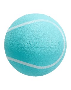 Squeaky Chew Ball жевательный мяч с пищалкой и с ароматом арахиса 8 см Голубой Playology