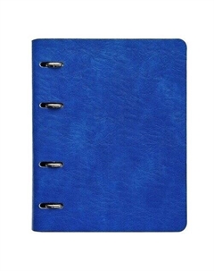 Тетрадь общая Turtle, 175х212 мм, 120 листов, клетка, кольцевой механизм Infolio study