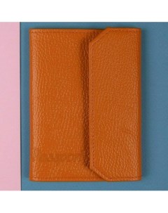 Обложка на паспорт ПФГ 44 12 Оранжевый Arora
