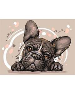 Картина по номерам на картоне Три совы Французский бульдог, 30х40 см, с акриловыми красками и кистями КК_44035 Республика
