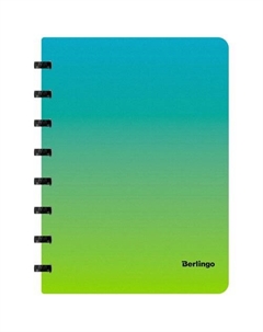 Бизнес-тетрадь Berlingo Radiance, А5+, 80 листов, клетка, на кольцах, с возможностью замены блока, 80г/м2, голубой/зеленый RNt_A5503 Республика
