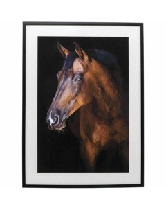 Картина в рамке Лошадь 78 х 108 х 3 см Kare