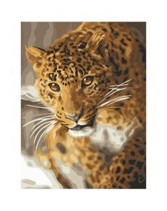 Картина по номерам на картоне Леопард с акриловыми красками и кистями 30 х 40 см Три совы