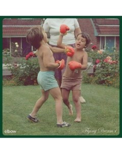 Виниловая пластинка Elbow Flying Dream 1 LP Universal