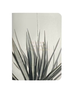 Блокнот Nude Пальма, в клетку, 32 листа, А6 Be smart