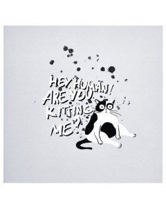Альбом для рисования Hey Human Кот белый 170 х 170 мм 40 листов на спирали Be smart