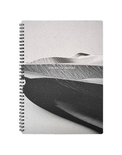 Тетрадь общая Sence, в клетку, 96 листов, на спирали, 20,2 х 28,2 х 1,5 см Be smart