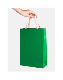 Пакет подарочный зеленый А4 23 х 33 х 10 см Symbol