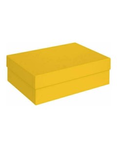 Подарочная коробка желтая 21 х 15 х 7 см Красота в деталях